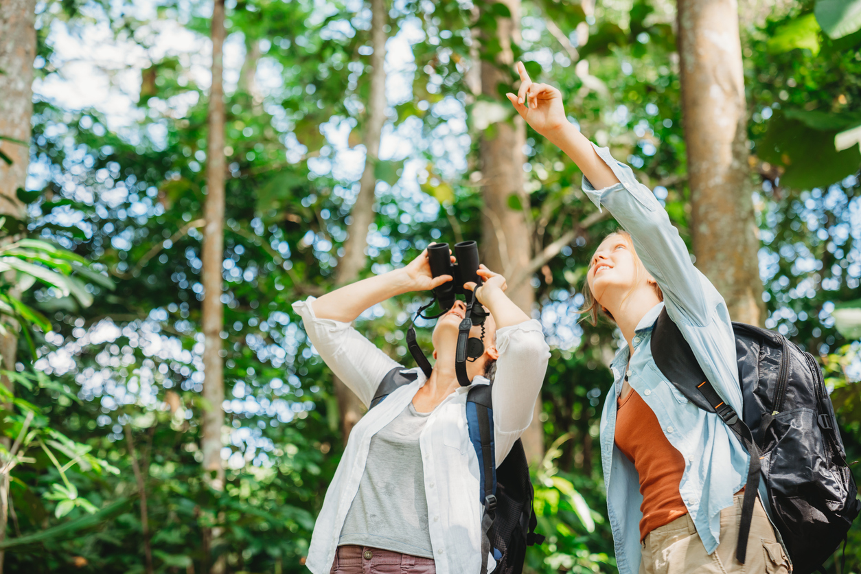 Woman family walking in the forest to watching a bird in nature
