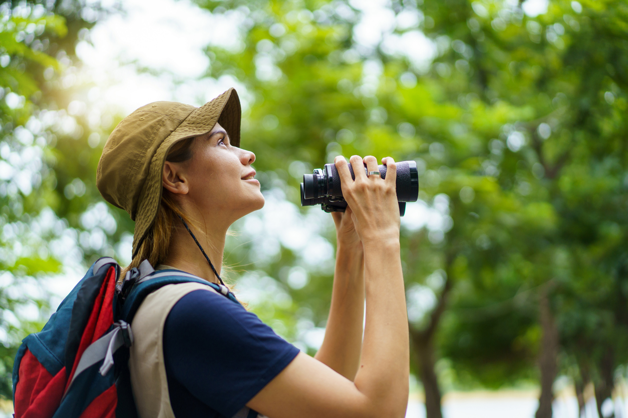Woman using binoculars to observe birds in wild nature
