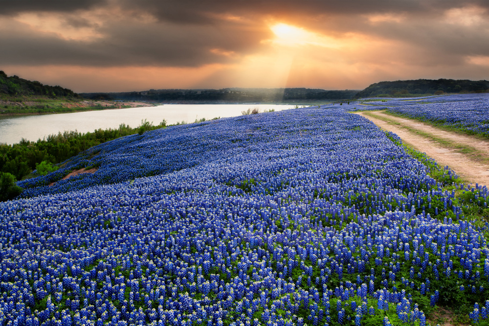Hill Country Trails
