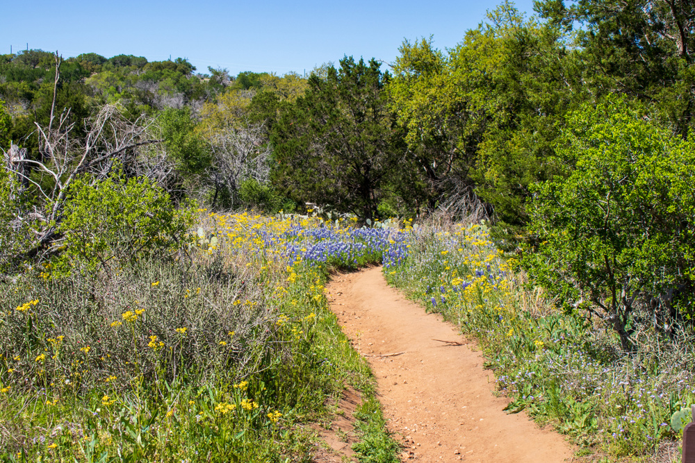 Where To Start In Texas