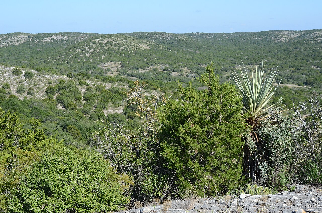 A landscape photo from the top of a hill in Kickapoo Cavern State Park in Kinney and Edwards County, Texas, United States