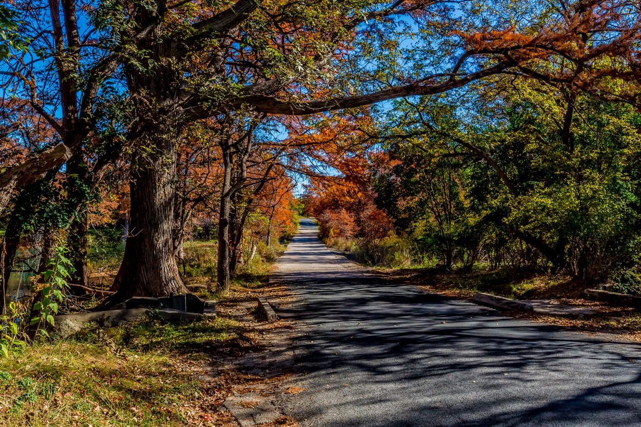 Beautiful Fall Foliage on Back Roads of Texas.