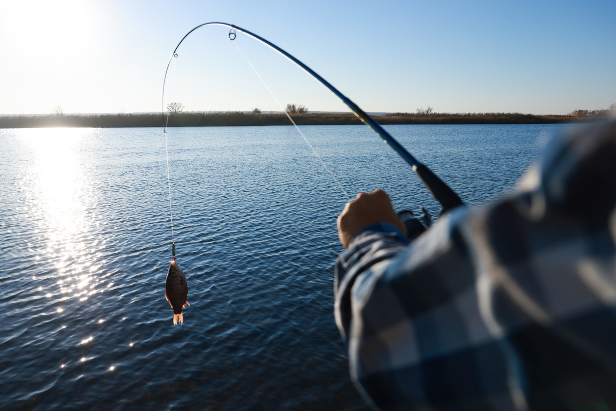 Best Fish for Beginners in Texas