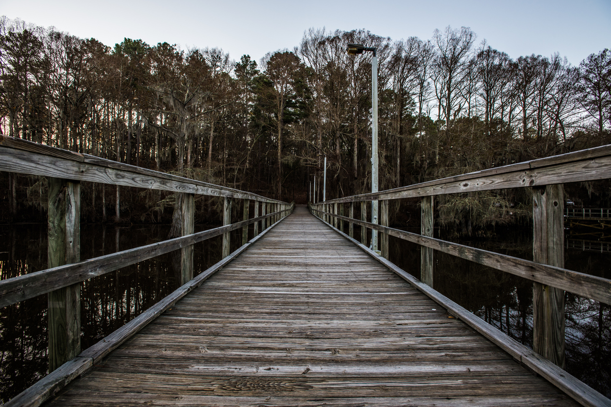 Boat Dock at Caddo Lake