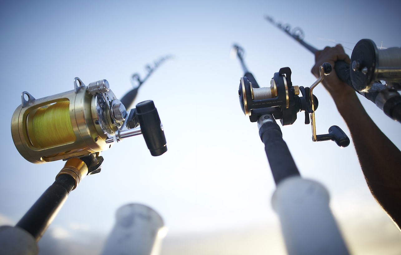 Fishing rods early in the morning