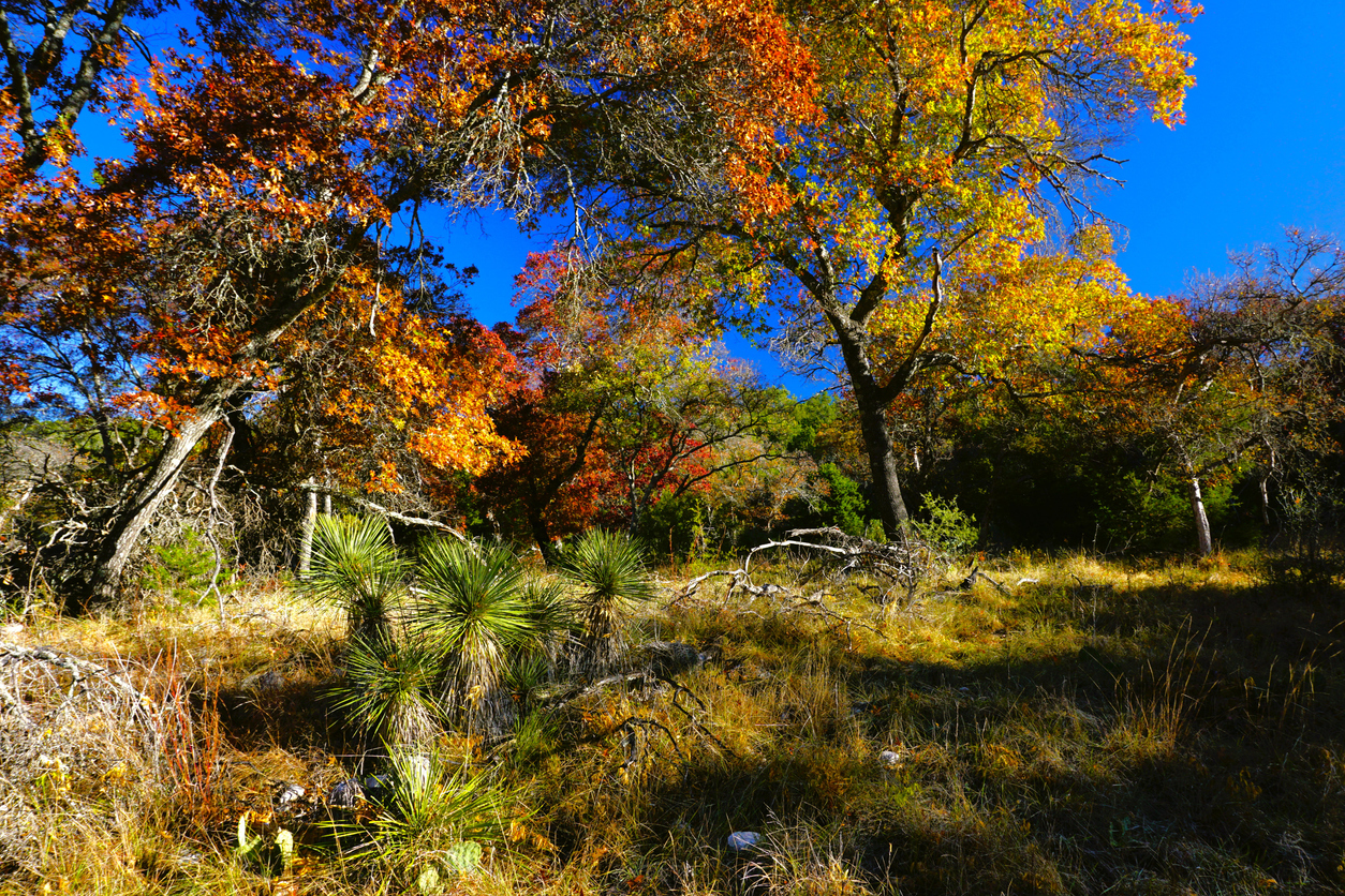 Frontera trail at South Llano River State Park Texas
