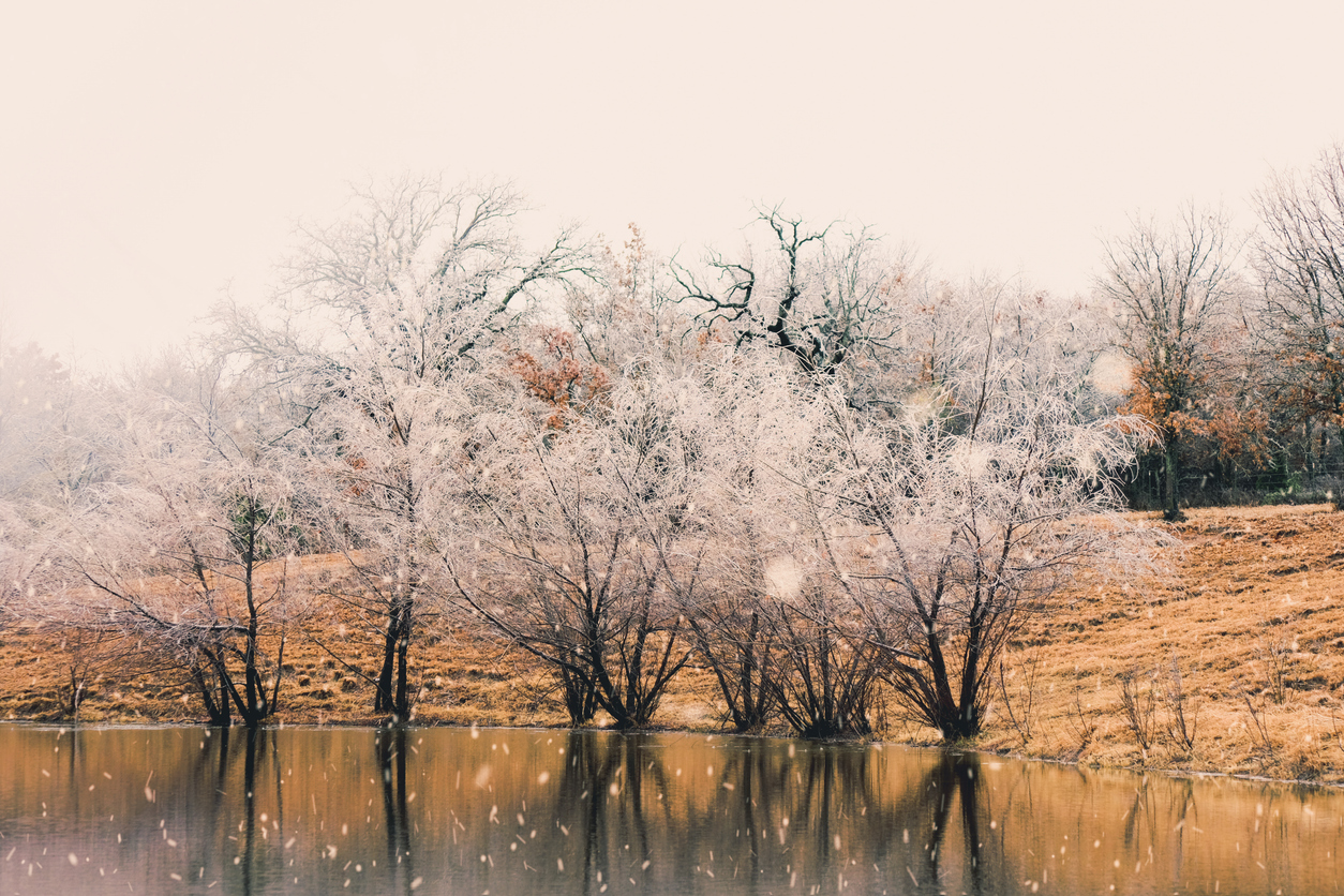 Icy Texas landscape