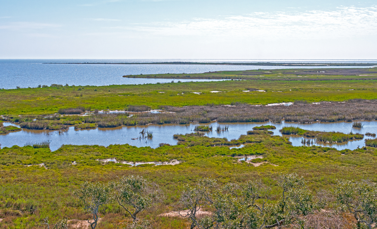 Overview of a Whooping Crane Wetlands Habitat