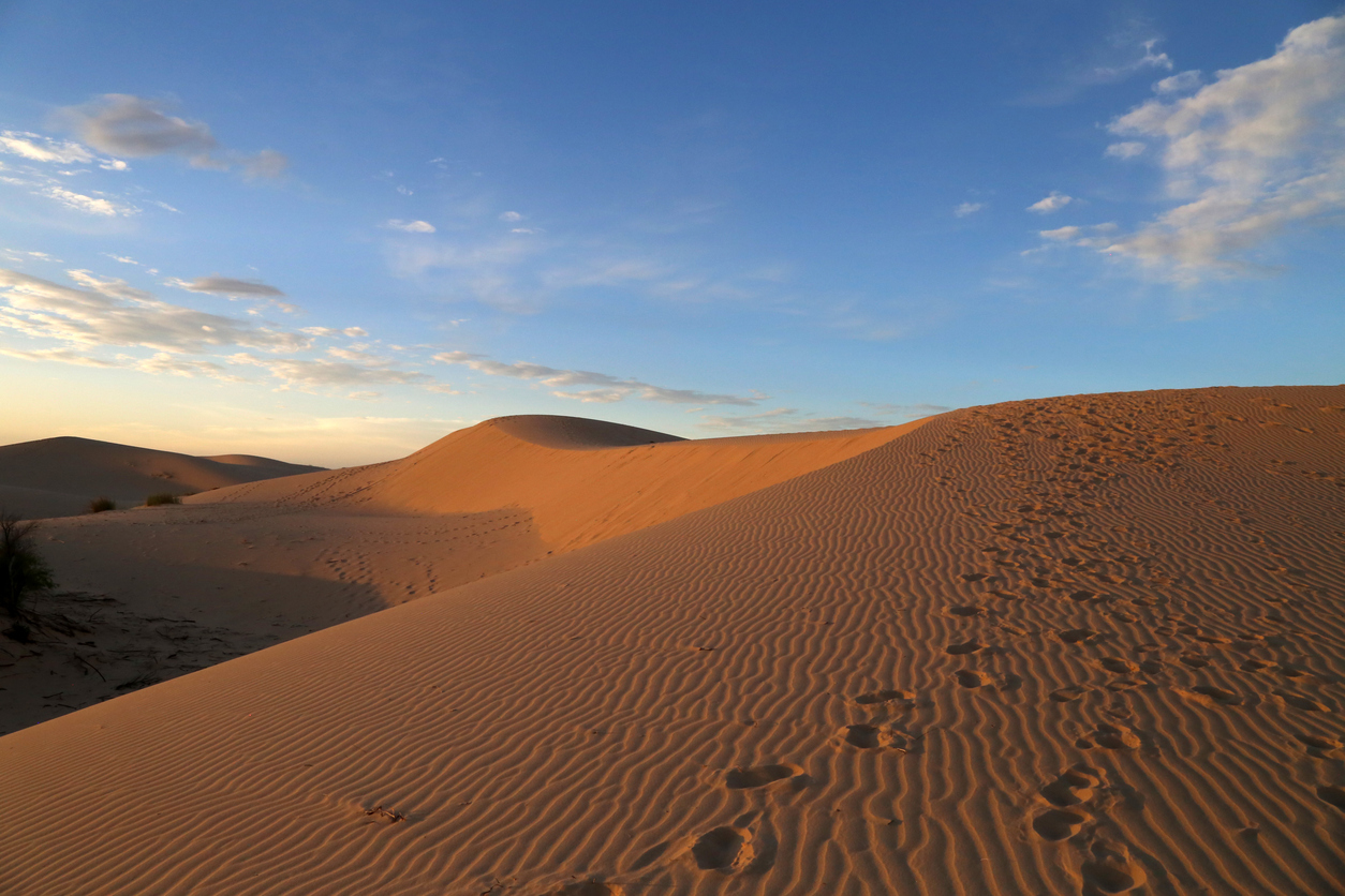 Sand Dune Sunset at Park