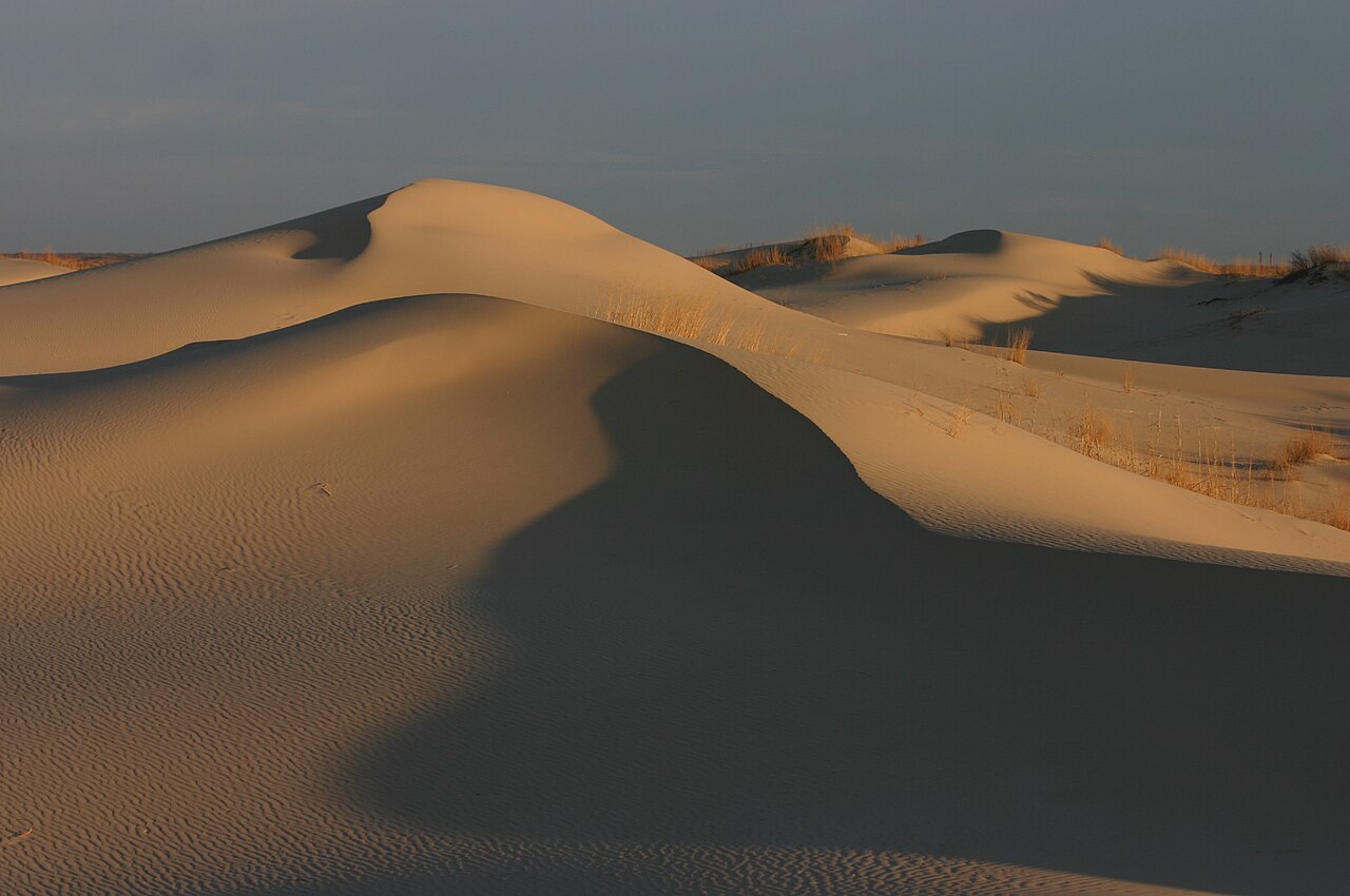 Sand dunes at sunrise. Taken at Monahans Sandhills State Park, Monahans, Texas, USA