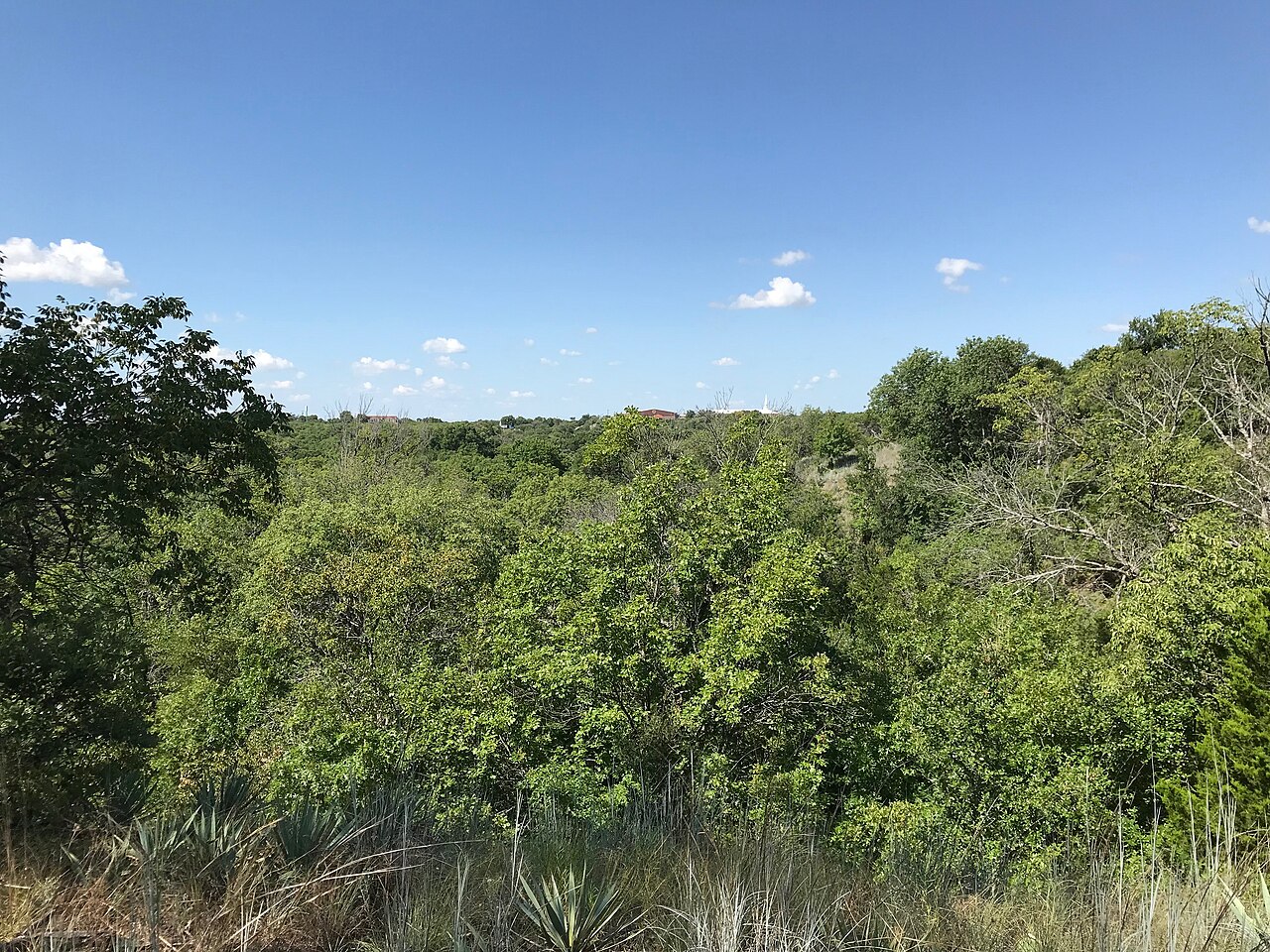 Scenic view spot on a trail at the Fort Worth Nature Center & Refuge