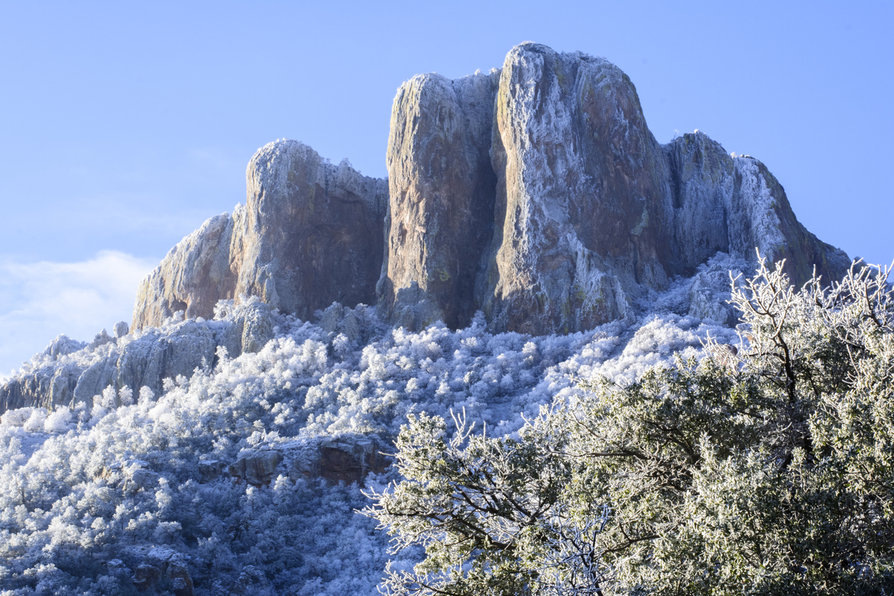 Snowy Big Bend Park
