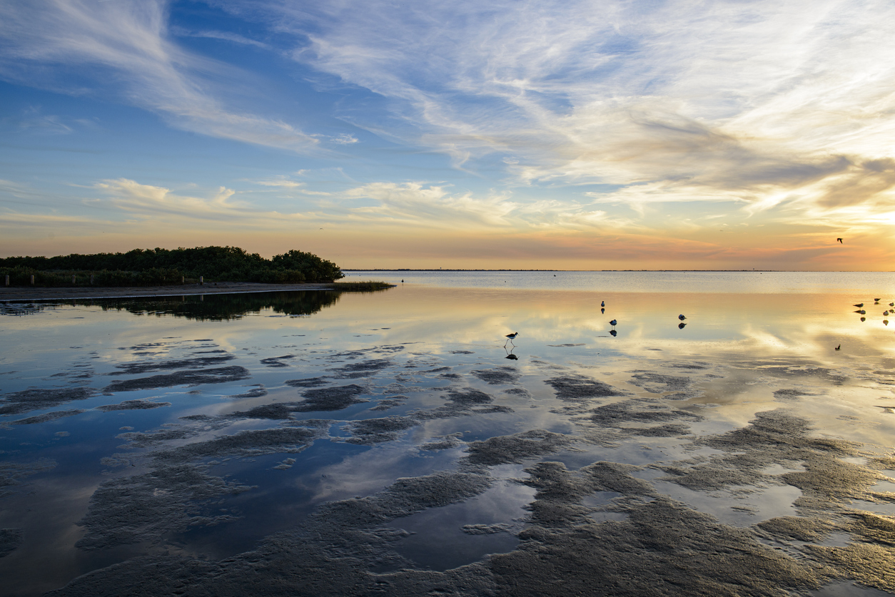 South Padre Island, Texas Seascape and Nature