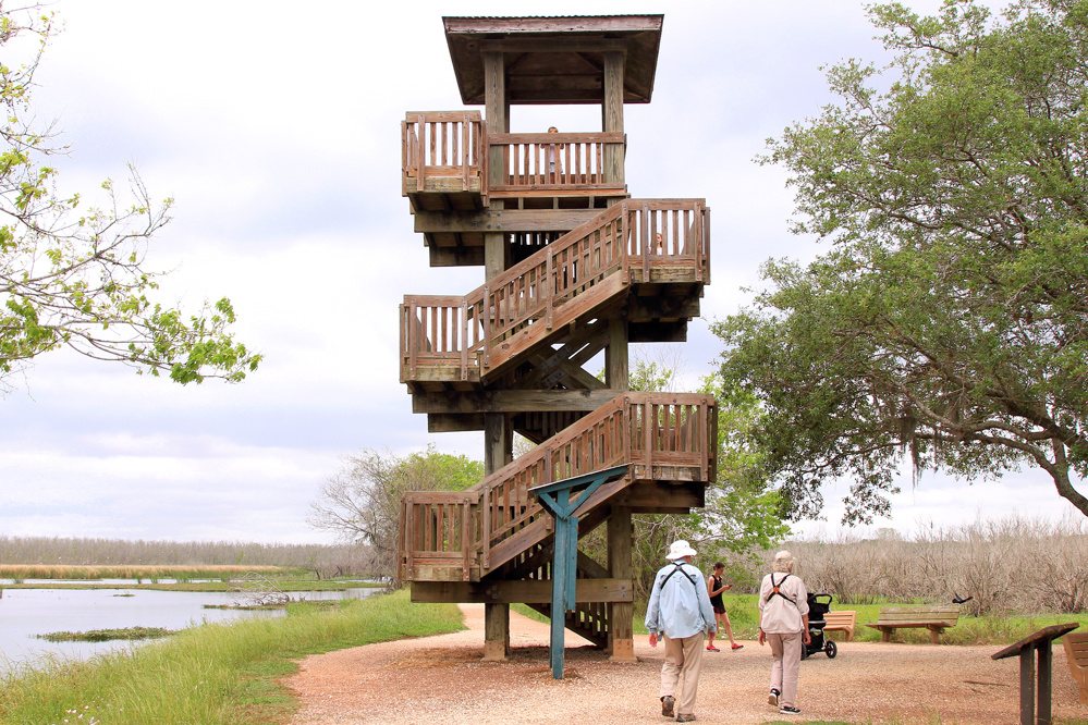 Observation Tower, Brazos Bend State Park, Texas