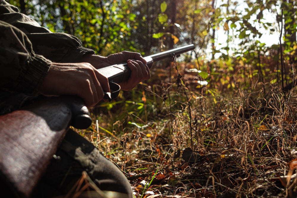 A hunter with a gun in his hands in hunting clothes in the autumn forest