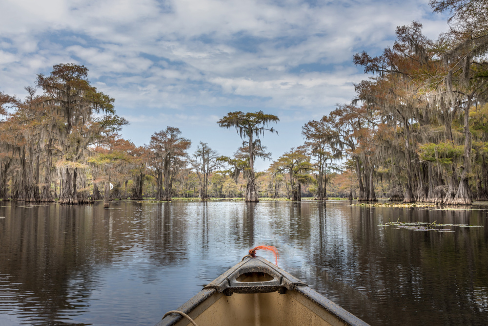 Canoeing on the Caddo Lake between cypress trees in Texas