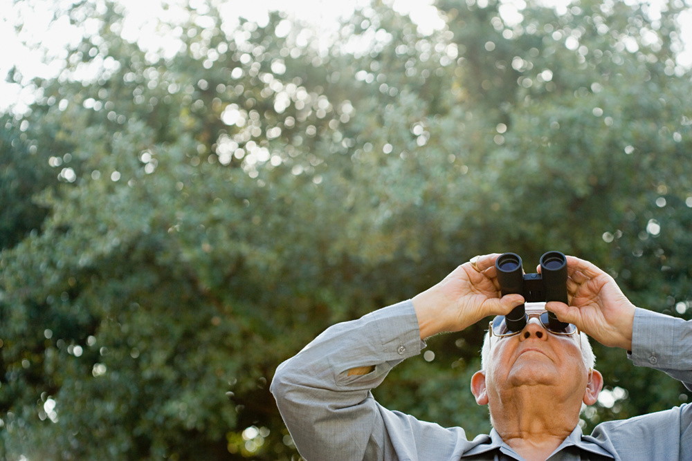 Tips for Watching Birds in Texas