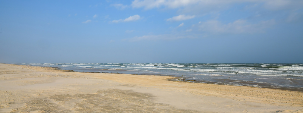 Camp on Padre Island National Seashore