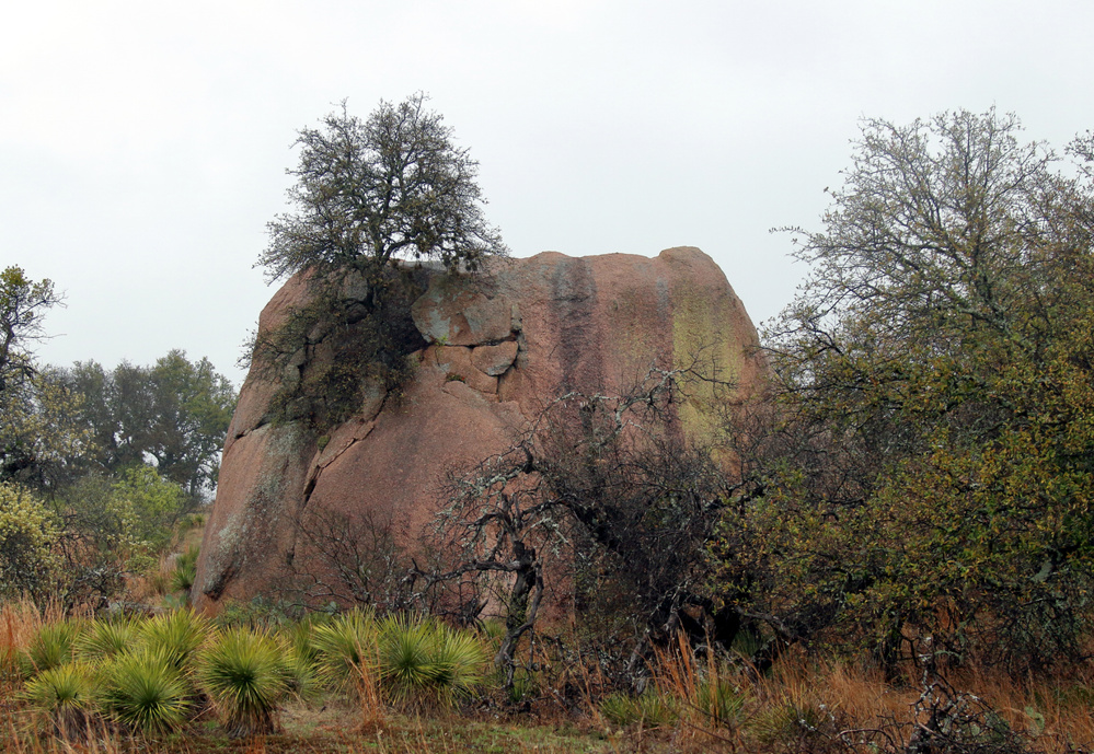 Enchanted Rock State Natural Area - Hill Country