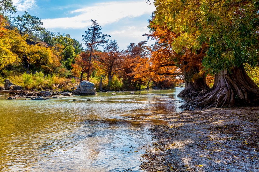 Guadalupe River State Park: Flowing Water and Hill Country Birds
