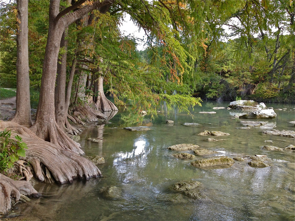 Guadalupe River State Park - Spring Branch