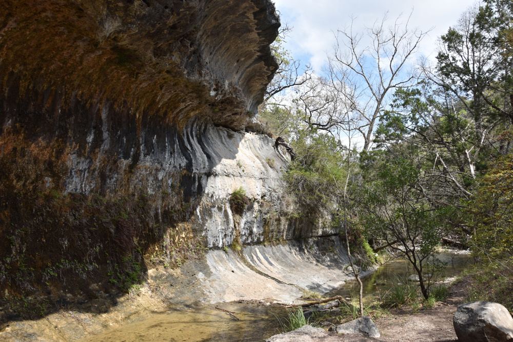 Lost Maples State Natural Area: Birds, Leaves, and Canyon Acoustics