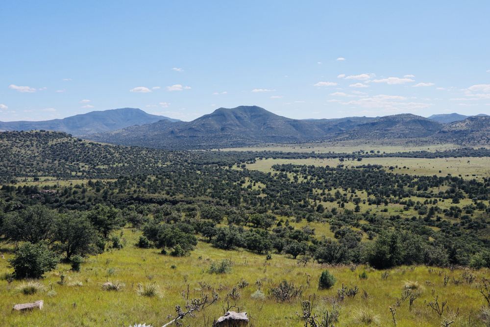 Take a Scenic Drive Through the Davis Mountains