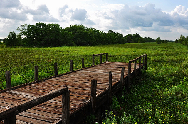 Sheldon Reservoir, Texas