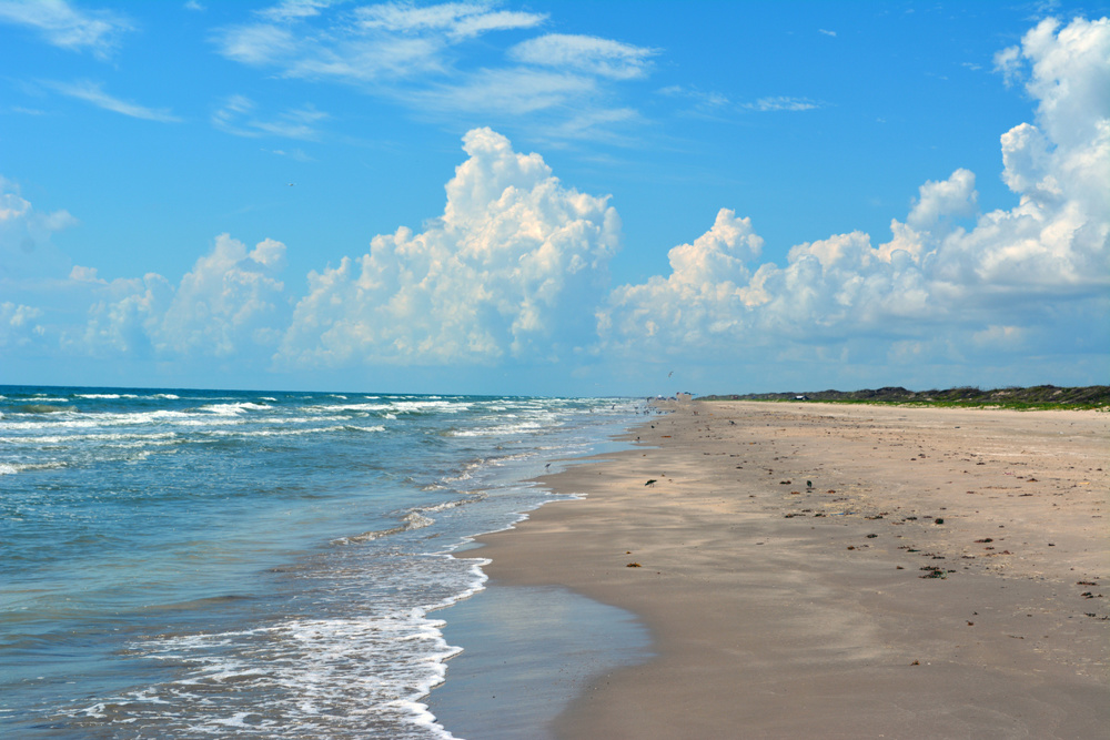 Visit the Gulf Coast