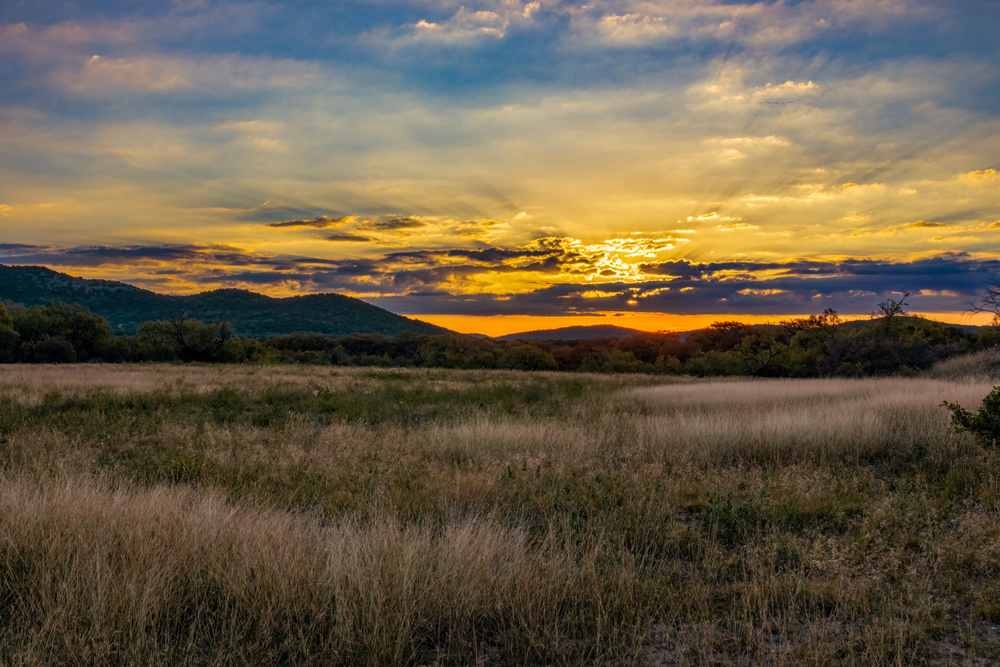 Sunrise coming over mountains behind a field of tall grass in Texas Hill Country