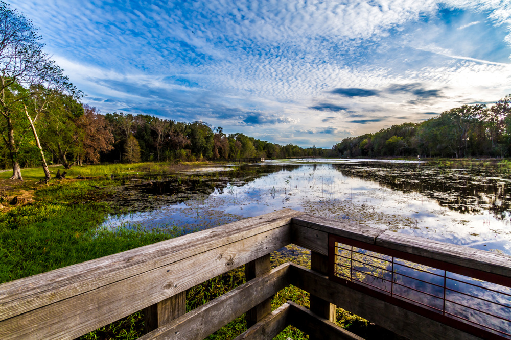 Why Texas Has So Many Different Water Features