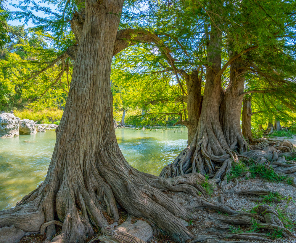 Boerne