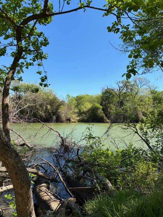 Bosque Bluffs Paddling Trail in Waco