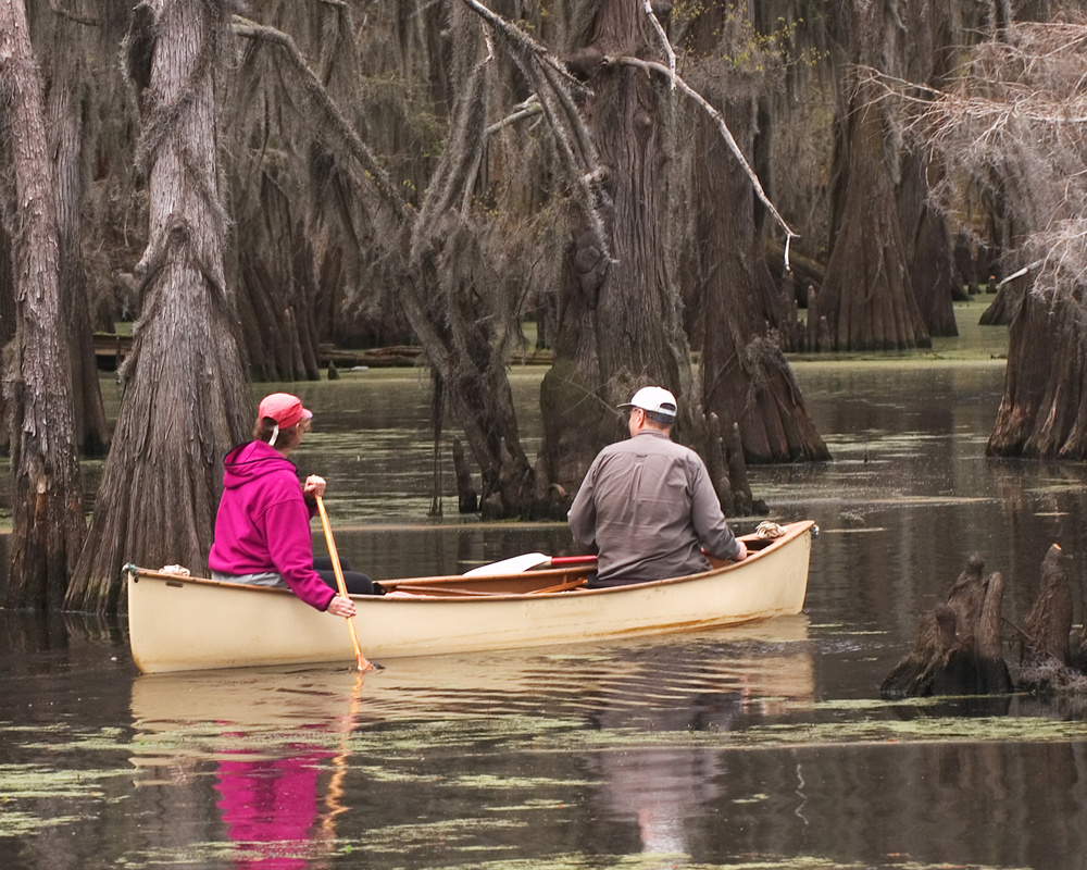 Caddo Lake's Shorter Paddling Routes