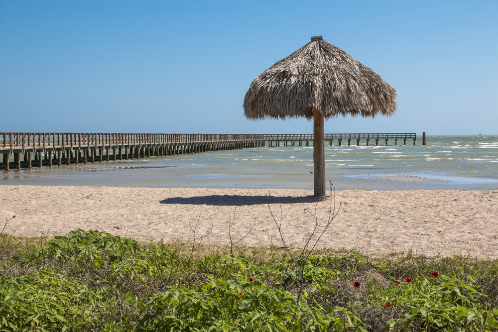 Rockport: A Coastal Base for Birding and Paddling